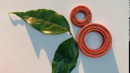 Double Lip Rotary Shaft Oil Seal with Good Temperature Resistant