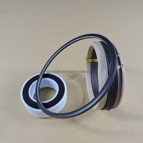 Maßgeschneiderte federvorgespannte Dichtungen aus SS304 PTFE, die in der Schifffahrt eingesetzt werden